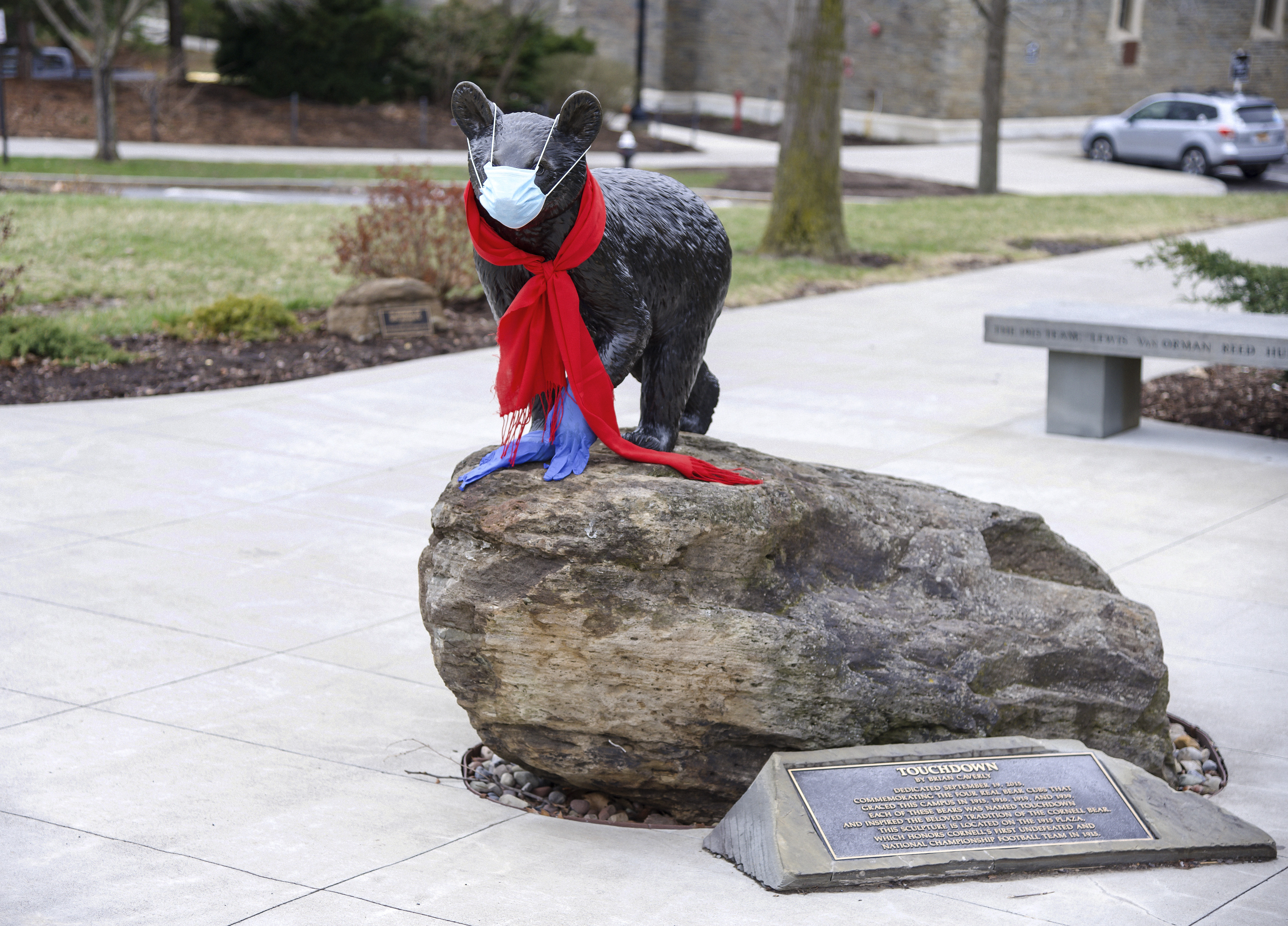 Cornell Big Red Bear, March 24, 2020