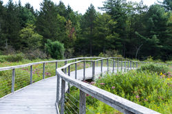 Roy Park Preserve