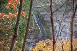 DSC_1873