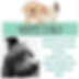 Happy Tails Professional Pet Sitting