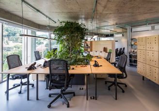 RIZOMA_-_ESTUDIO_PENHA_05.jpg
