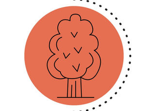 What LEED Means For Architecture