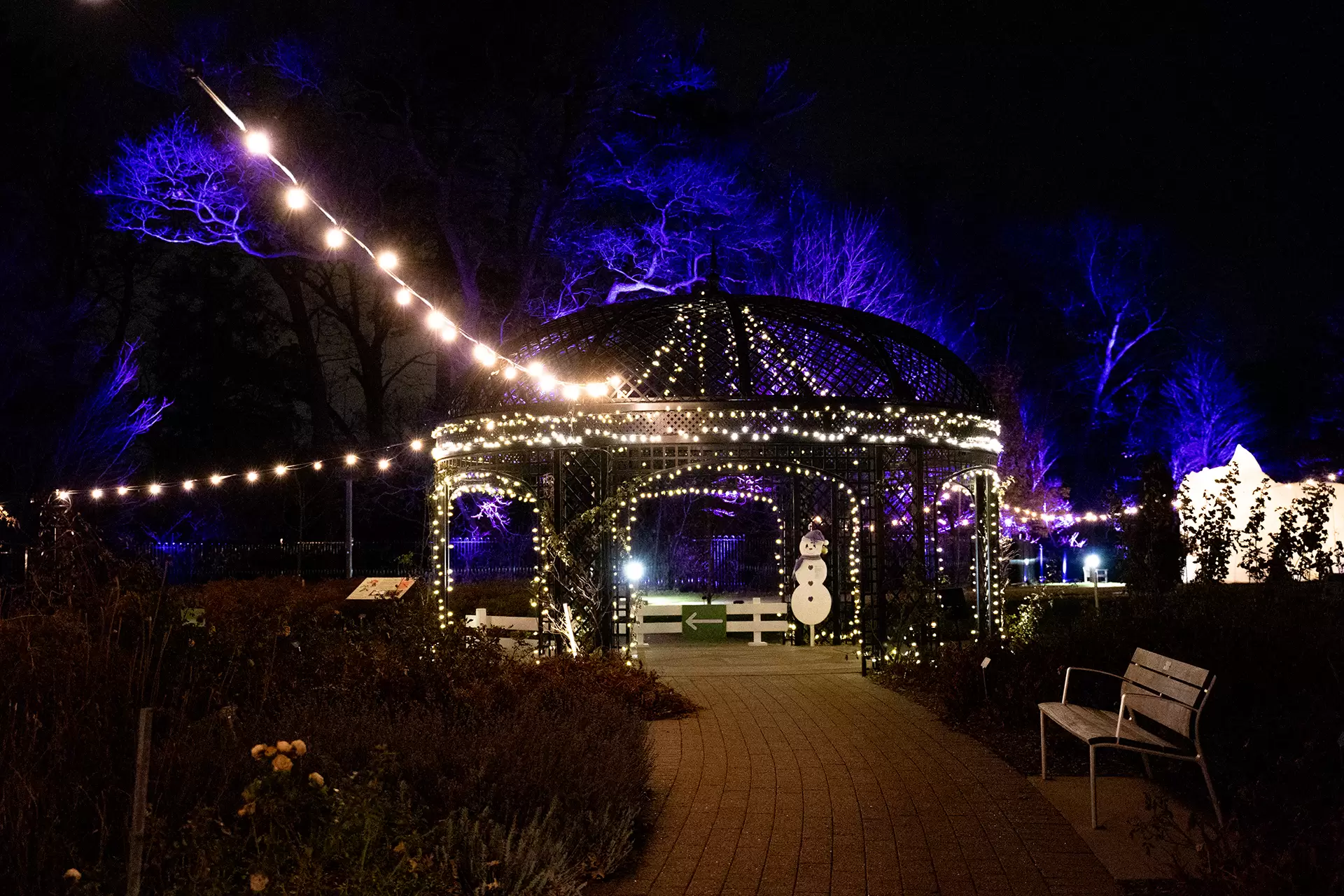 RBG Light Show - "Winter Wonders"