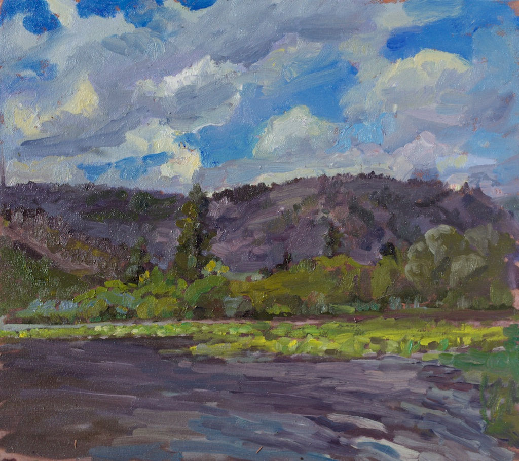 Lily Pads on Vaseux Lake