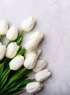 名称未設定のデザインのコピーのコピー - 4.png