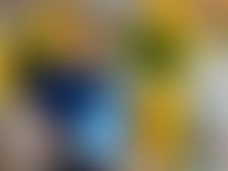 Restaurant Supervisor - Hadicurari