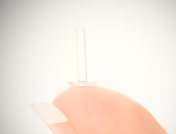 Flutees_H%C3%BClse_auf_Finger_edited_edi