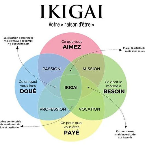 roue ikigai nathalie sabathier