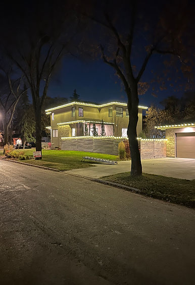 Warm White Christmas Lights 