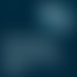 What is the Difference Between Google Ads and SEO?