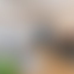 Insurance Series: Are You Protected?