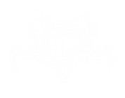 VSI - Site (8).png