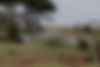 IMG_0523.jpeg