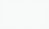gridbackground.png
