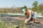 Agriculturalist.jpg