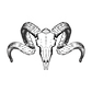 VSI - Site (6).png