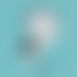 Planejando uma Carta de Reclamação [MATERIAL DE APOIO]