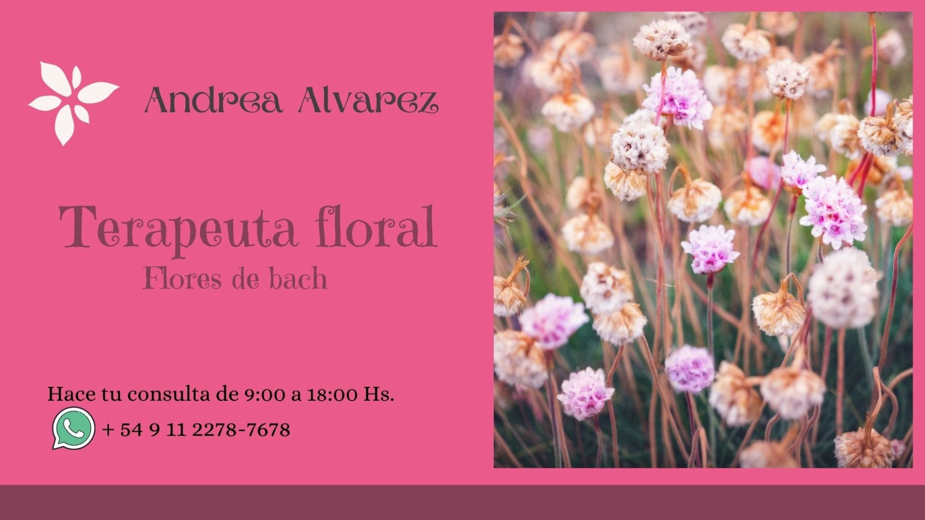 Sesiones de Terapia con Flores de Bach