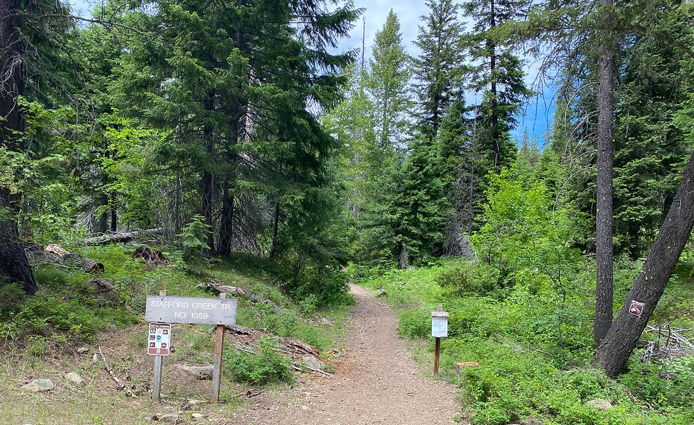 Beginning of trail to Navaho Peak