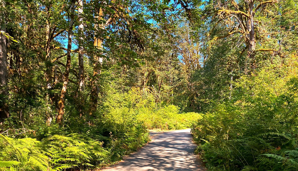 Lena Creek Campground thru road