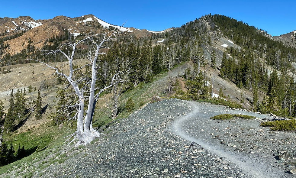 The summit of Navaho Peak