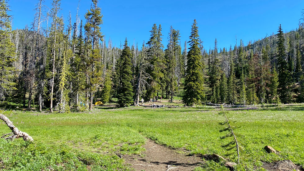 Camping area at Navaho Peak
