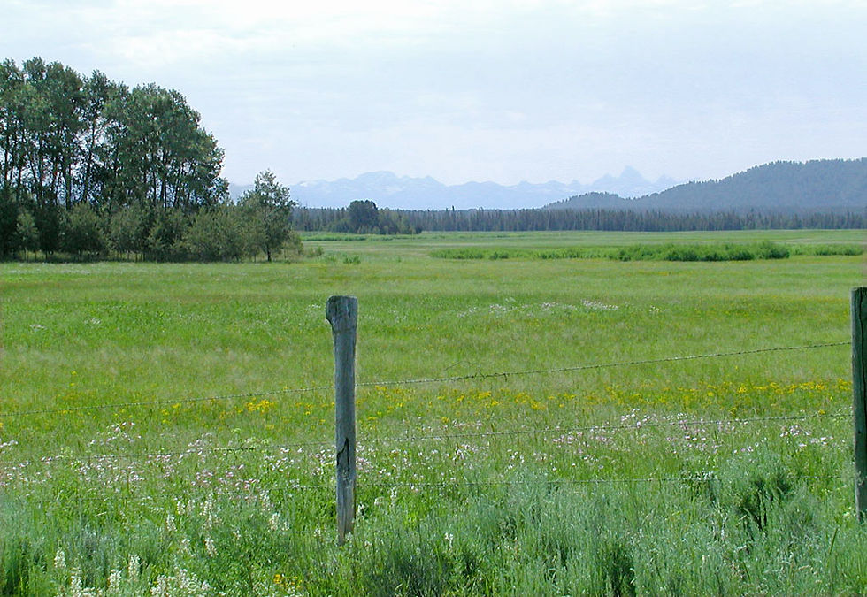 Harriman State Park Views