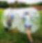 Zorbs 800px.jpg