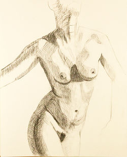 Torso Study - Figure Drawing Studio