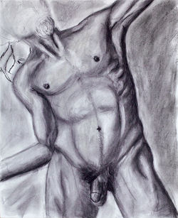 Torso Study - Figure Drawing Studio