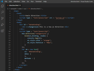 Vue.js Directive and Mixin