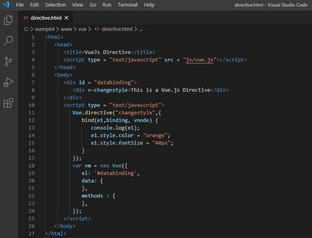 Vue.js Directive and Mixin