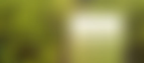 Saiba Mais Sobre o Seguro Agrícola