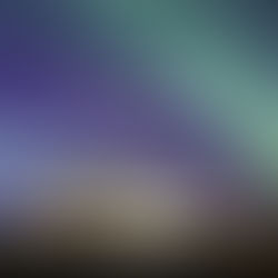 Nyårsridning 29-31.12