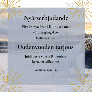 Uudenvuoden tarjous- Kertakäyntikortti