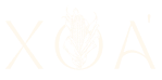 LogoFooter.png