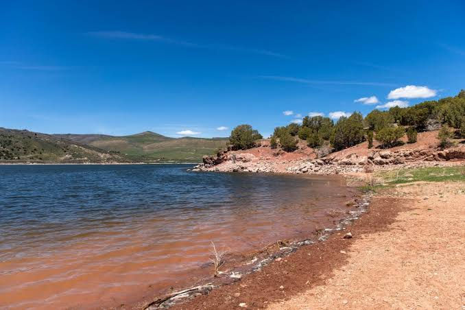 North Utah Guild Meet Up- Farmer Lake Day!