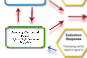 Anxiety Center of the brain, responsible for experience of emotional mayhem in Steven Phillipson's schematic treatment model