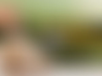 50% Tax Deduction under 80G