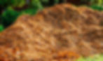Mulch.jpg