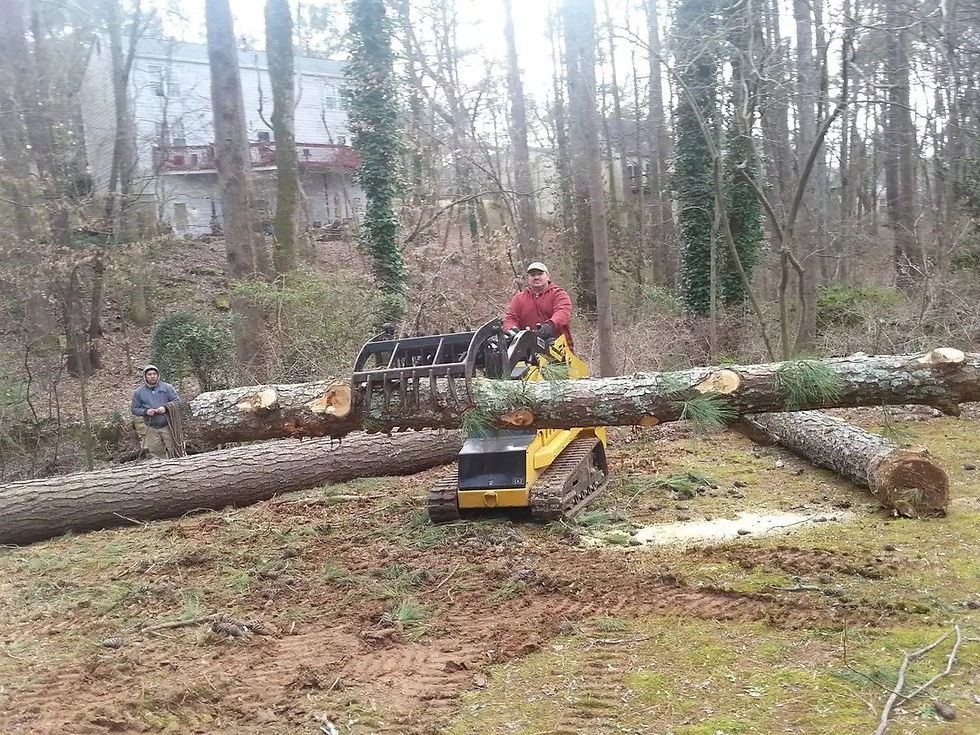 lots clearingin marietta ga