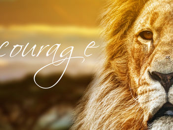 Be Courageous