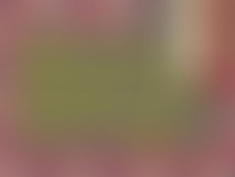 The Joy of Becoming Born-Again