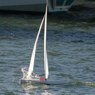 IMG_2149.jpeg