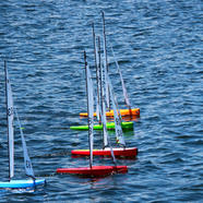 IMG_7389.jpeg