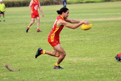 IMG_8295.jpg