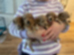 Lylah x Charlie
