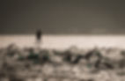 Swimmers - World's most famous triathlon test, realized in Florianópolis - Brazil.jpg