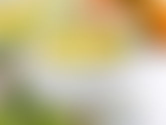 Cook Boldly with Tabatchnick