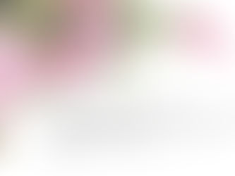 a customer testimonial about enjoying Tabatchnick soups in black text on a white background with pink flowers across the top